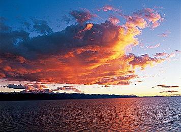 更多3A游戏即将登陆苹果设备：《幻兽帕鲁》等